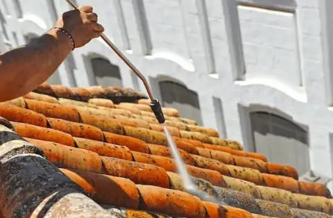 Nettoyage de toitures - Berneuil